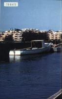 ilives:257167-z_5.jpg