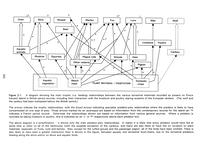 ilives:266852-2a-00271-p_0255-insert_1.jpg